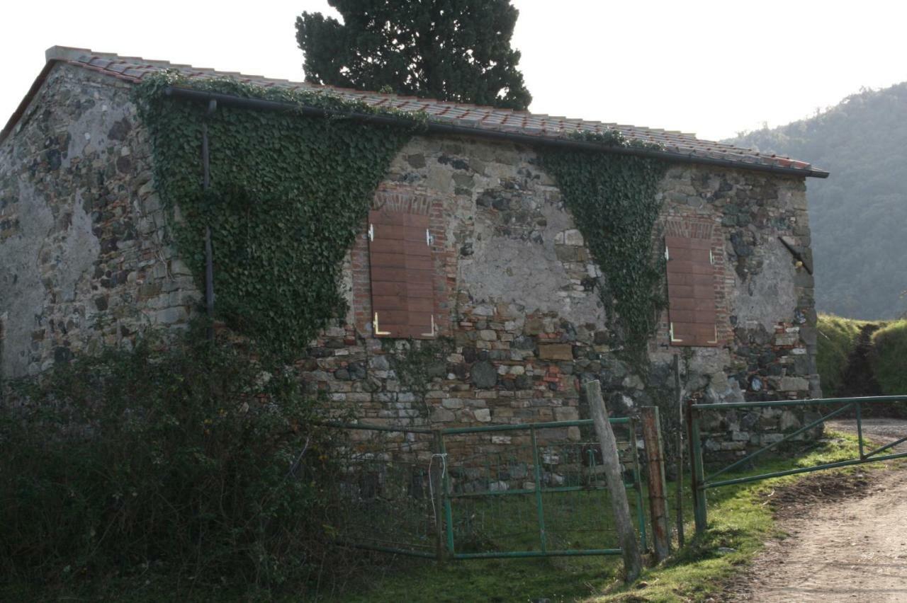 Farmhouse Tuscany Montecastelli Pisano Екстер'єр фото
