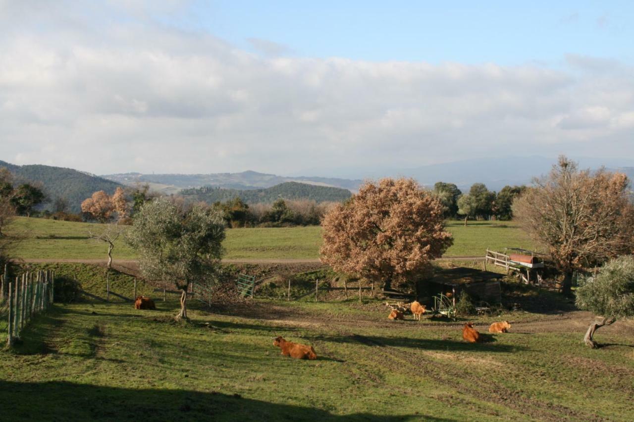 Farmhouse Tuscany Montecastelli Pisano Екстер'єр фото