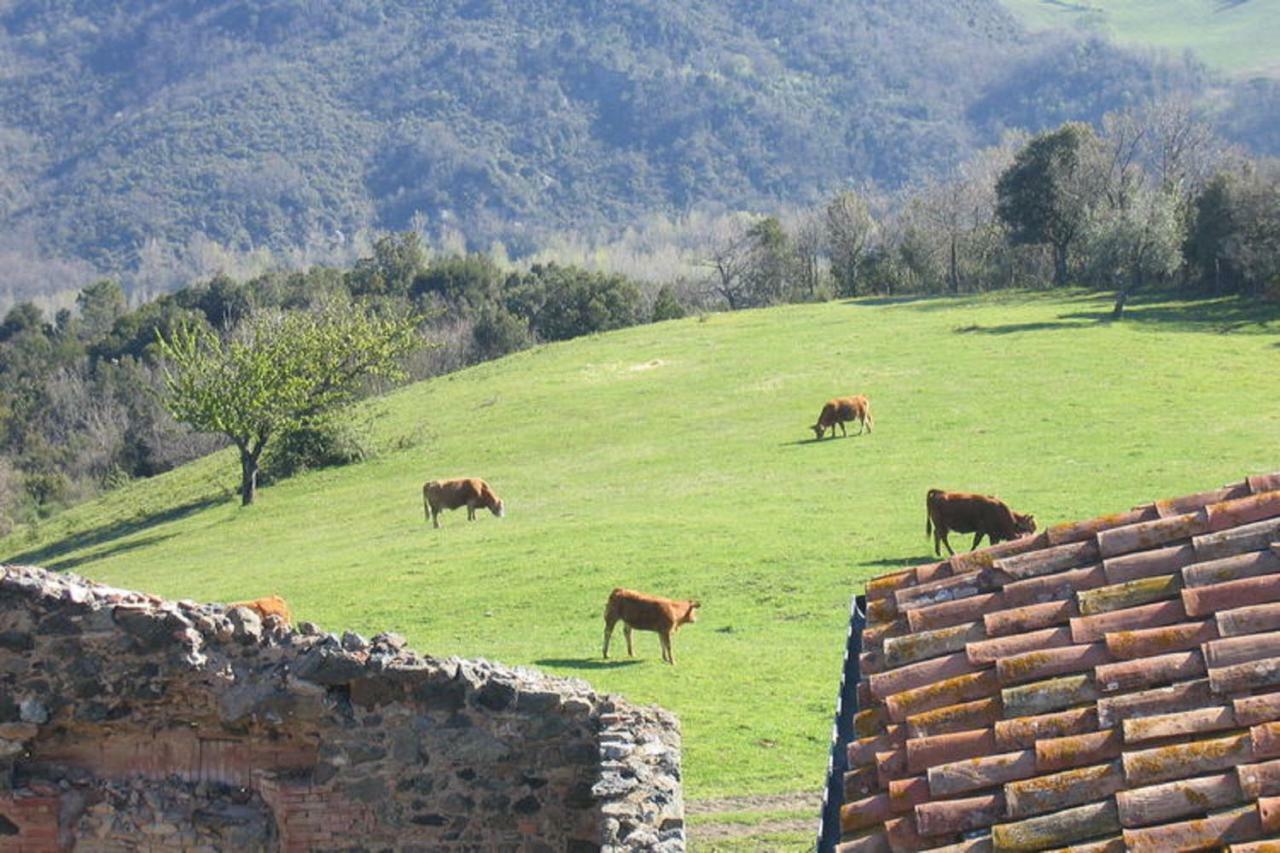 Farmhouse Tuscany Montecastelli Pisano Екстер'єр фото